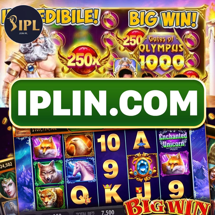 offline rummy for pc screenshot 6